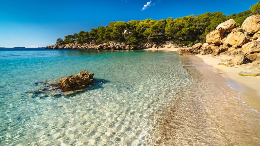 ibiza incentive travel organization